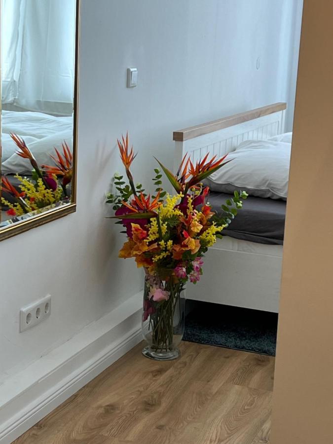 Moderne Wohnung In Der Innenstadt Von Bad Oeynhausen Extérieur photo